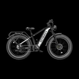 Heybike Brawn