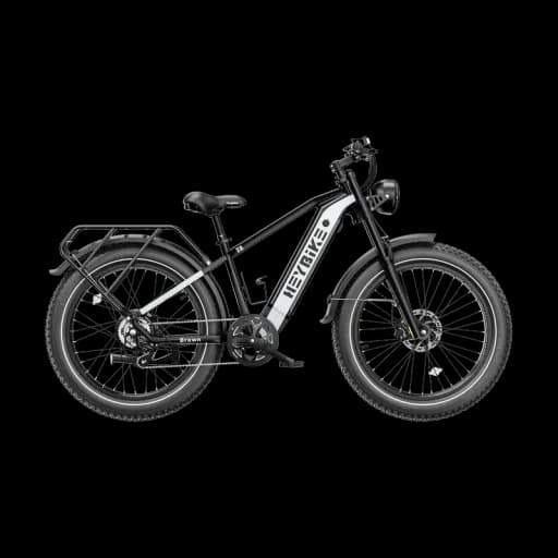 Heybike Brawn