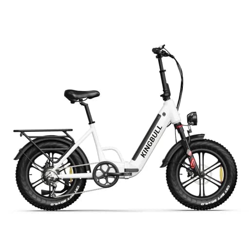 Kingbull Literider