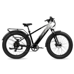 Lectric XPeak