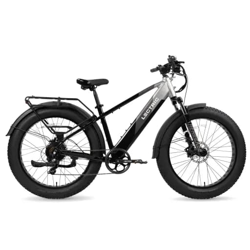 Lectric XPeak