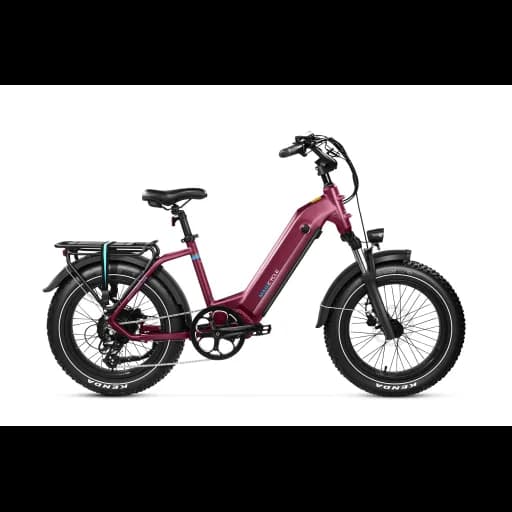 Magicycle Ocelot Pro 2