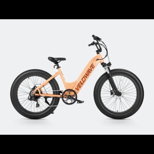 Velowave Rover